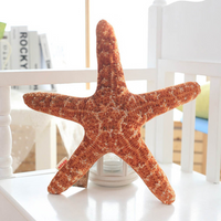 Starfish plush toy