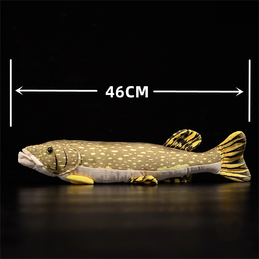 Ours Brun Pêchant Un Poisson Photo stock - Image du poilu, ruisseaux: 252712406