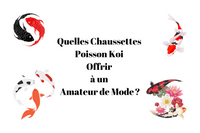 Quelles Chaussettes Poisson Koi Offrir à un Amateur de Mode ?