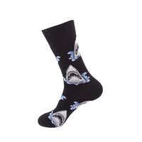 Chaussettes Requins Noir et Bleu