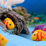 ensemble figurine poissons miniature