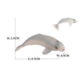 figurine beluga