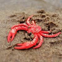 Figurine Crabe Royal rouge déposée sur du sable humide, dévoilant sa couleur vive et ses pattes articulées