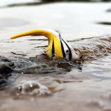 figurine poisson ange jaune dans l'eau