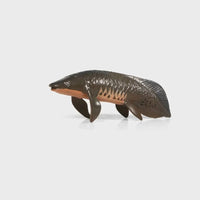 Figurine Poisson Dipneuste Noir en résine, avec de grandes écailles sombres et un ventre plus clair.
