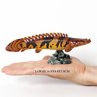 figurine poisson polypterus delhezi