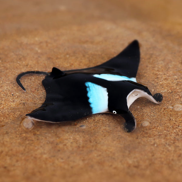 Figurine Raie Manta Noire posée dans l’eau peu profonde sur fond sablonneux, illustrant ses motifs bleus et sa forme caractéristique