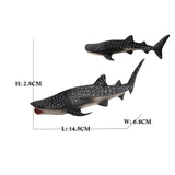 figurine requin baleine