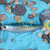 Figurine Thon Listao – Thunnus Albacares posée sur un décor sablonneux bleu, entourée de galets et d’une étoile de mer.
