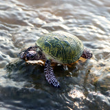 Figurine Tortue de Mer verte posée sur un rocher immergé à proximité de l’eau, illustrant ses détails et sa couleur réaliste