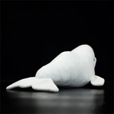 peluche beluga vue de derrière