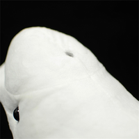 peluche beluga vue du dessus