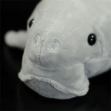 peluche dugong tête