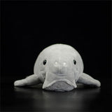 peluche dugong vue de face