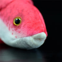 peluche poisson bodianus pulchellus tête