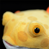 peluche poisson boxfish tête