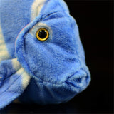 peluche poisson chirurgien bleu tête