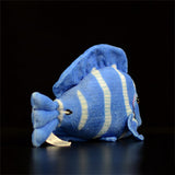 peluche poisson chirurgien bleu vue de derrière