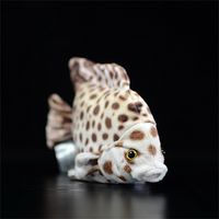 Spotted Pavilion Fish Plush