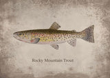 Poster Poisson Rocky Mountain Trout