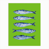 poster poisson sardine fond vert